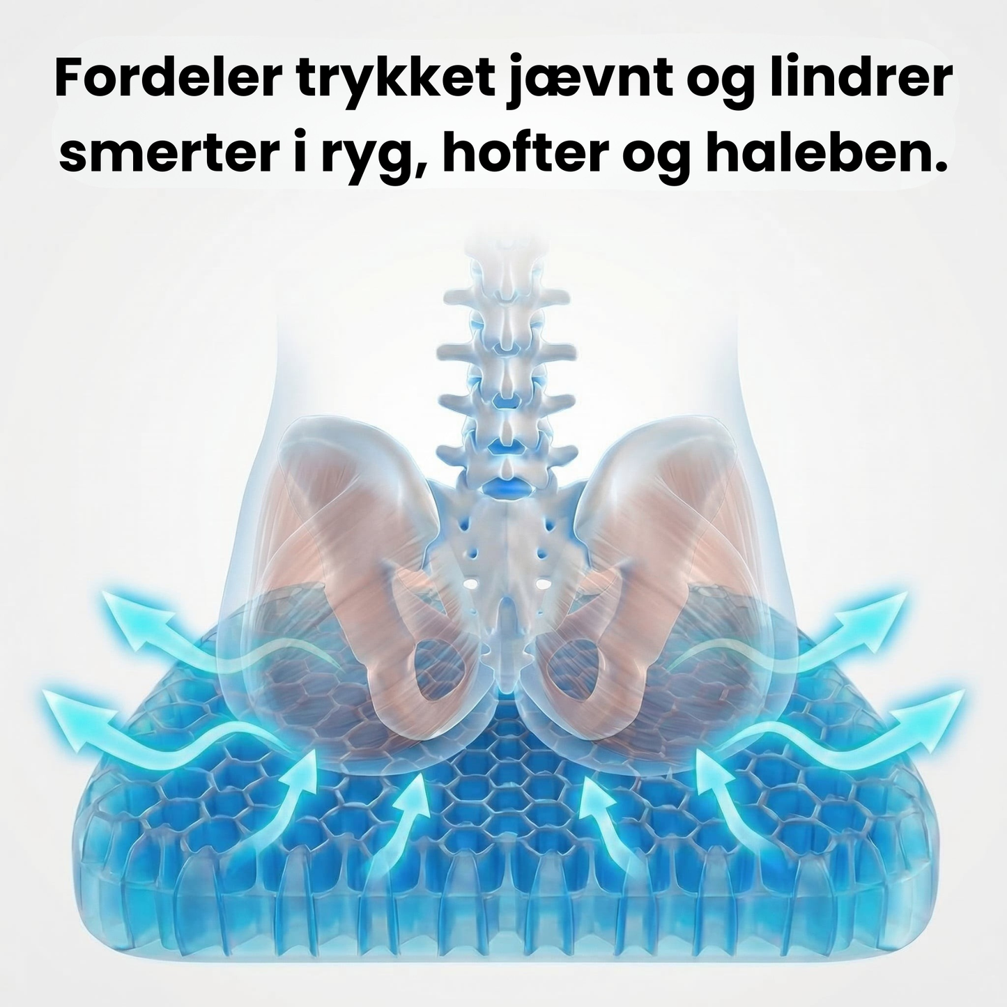 SitWell | Den bikageformede pude, der sætter en stopper for dine smerter, når du sidder