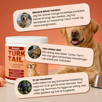 Turkey Tail+ Probiotika - Tilsæt denne blanding til din hunds foder dagligt - og se disse klumper forsvinde naturligt!