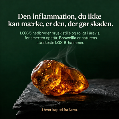 Curcumin + Boswellia – støtte til leddene
