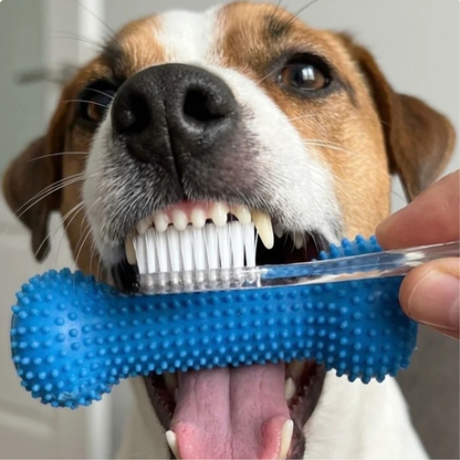 Beroligende assistent