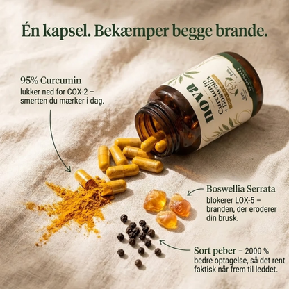 Curcumin + Boswellia – støtte til leddene