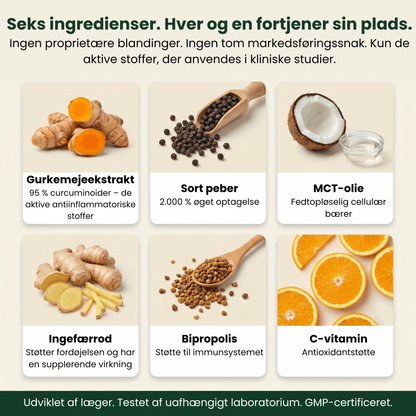 Ren gurkemeje-curcumin 95 (1.000 mg)