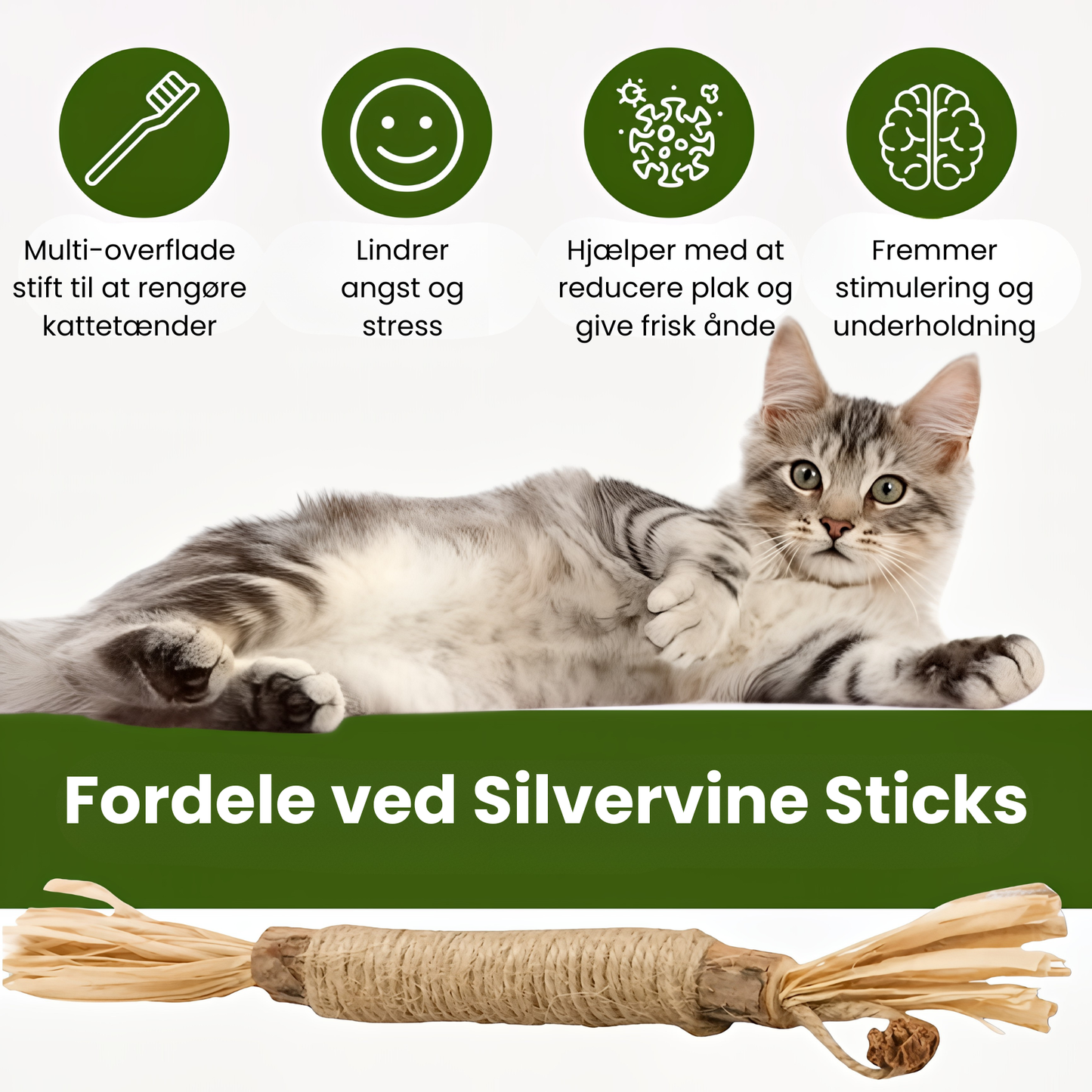 KatteRo Naturlige Sølvvine Tandstifter | En gladere og roligere kat starter her.