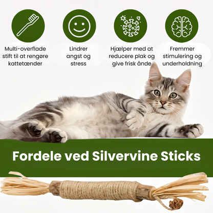 KatteRo Naturlige Sølvvine Tandstifter | En gladere og roligere kat starter her.
