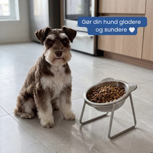 HundeBalance | Neutral Neck – ortopædisk foderskål til hunde
