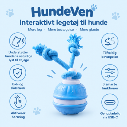 HundeVen | Til hunde, der aldrig synes at løbe tør for energi