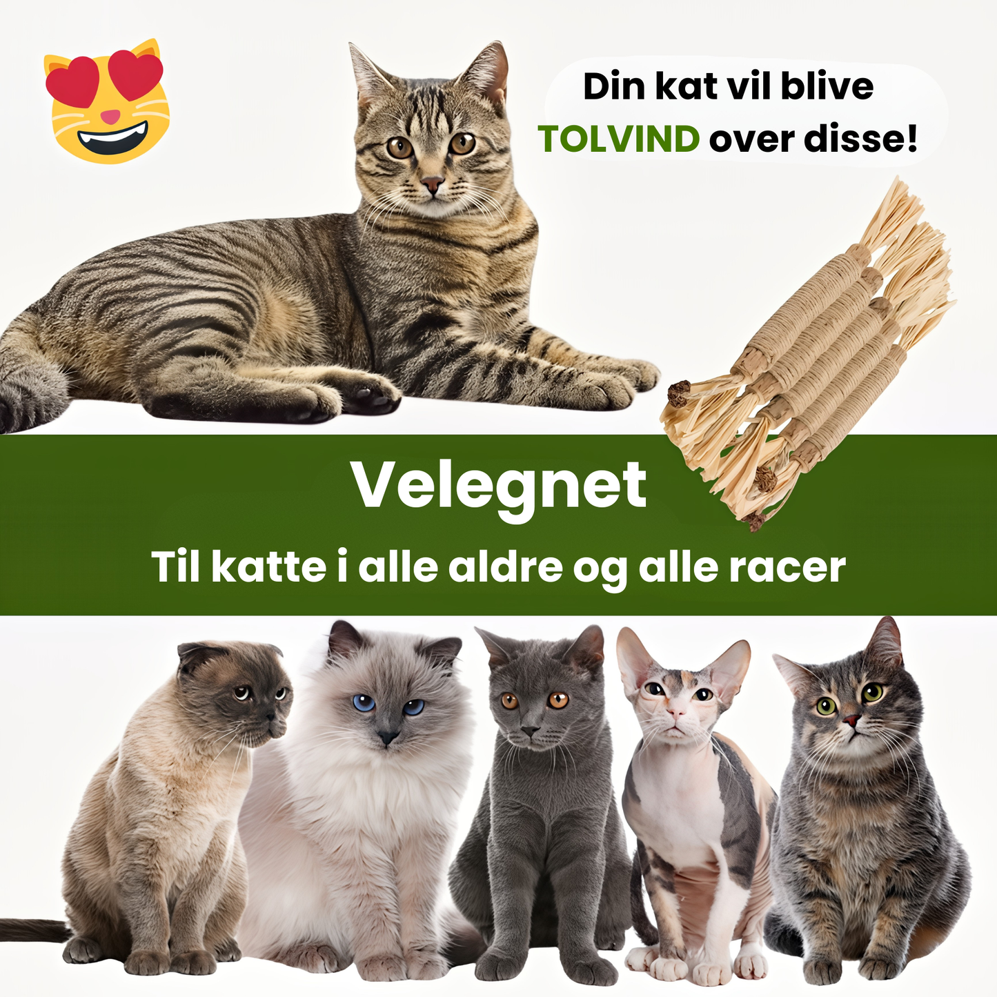 KatteRo Naturlige Sølvvine Tandstifter | En gladere og roligere kat starter her.