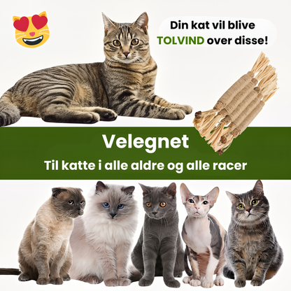 KatteRo Naturlige Sølvvine Tandstifter | En gladere og roligere kat starter her.