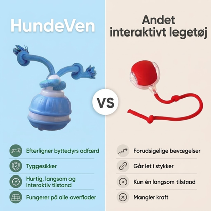 HundeVen | Til hunde, der aldrig synes at løbe tør for energi