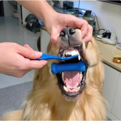 Beroligende assistent