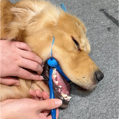 Beroligende assistent
