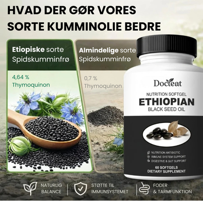 Docteat sortfrøolie | Sæt en stopper for betændelseskosmoset — genvind din naturlige energi og velvære i hele kroppen!