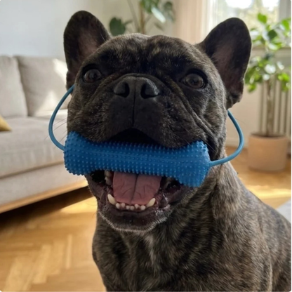 Beroligende assistent