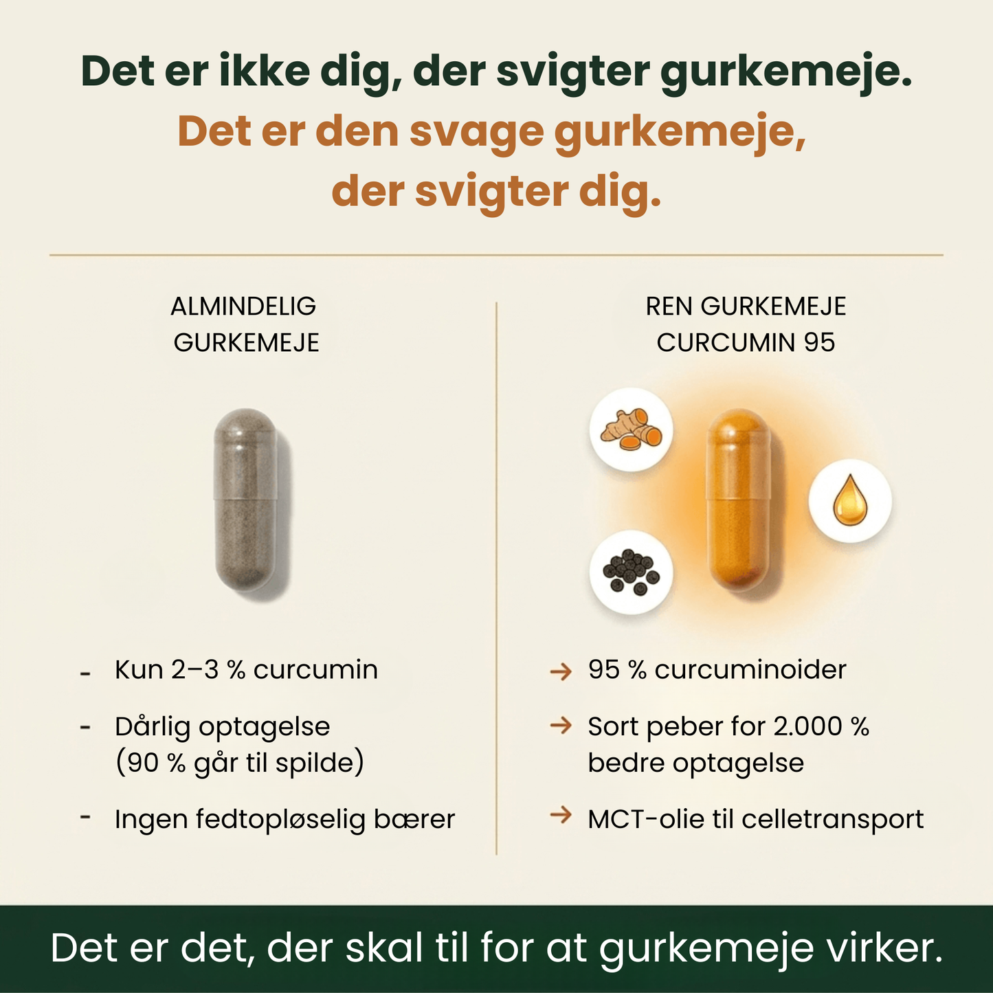 Ren gurkemeje-curcumin 95 (1.000 mg)