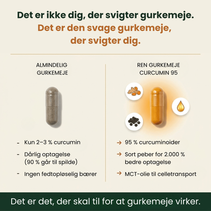 Ren gurkemeje-curcumin 95 (1.000 mg)