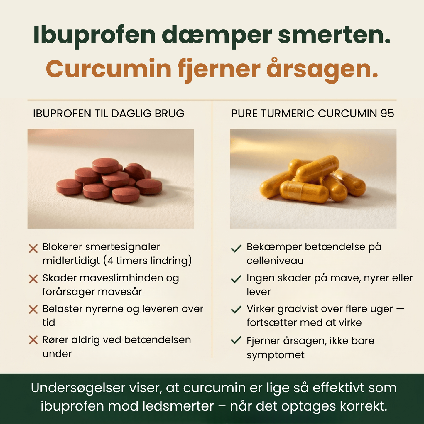 Ren gurkemeje-curcumin 95 (1.000 mg)