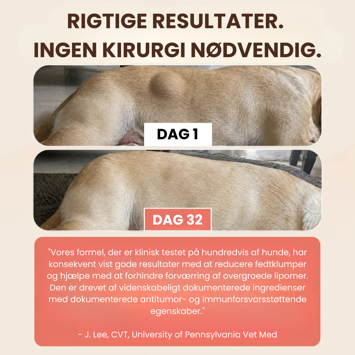 Turkey Tail+ Probiotika - Tilsæt denne blanding til din hunds foder dagligt - og se disse klumper forsvinde naturligt!