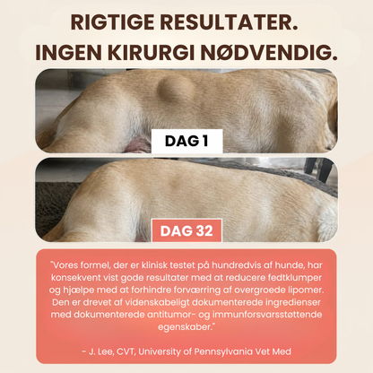 Turkey Tail+ Probiotika - Tilsæt denne blanding til din hunds foder dagligt - og se disse klumper forsvinde naturligt!