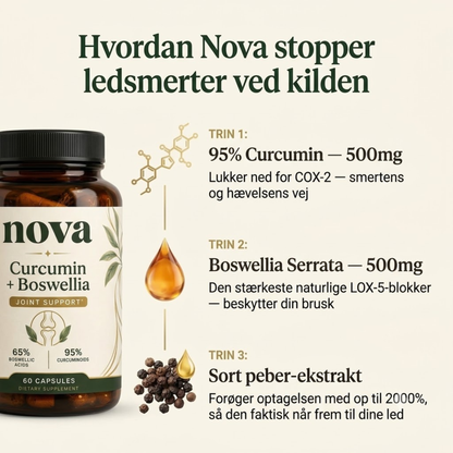 Curcumin + Boswellia – støtte til leddene