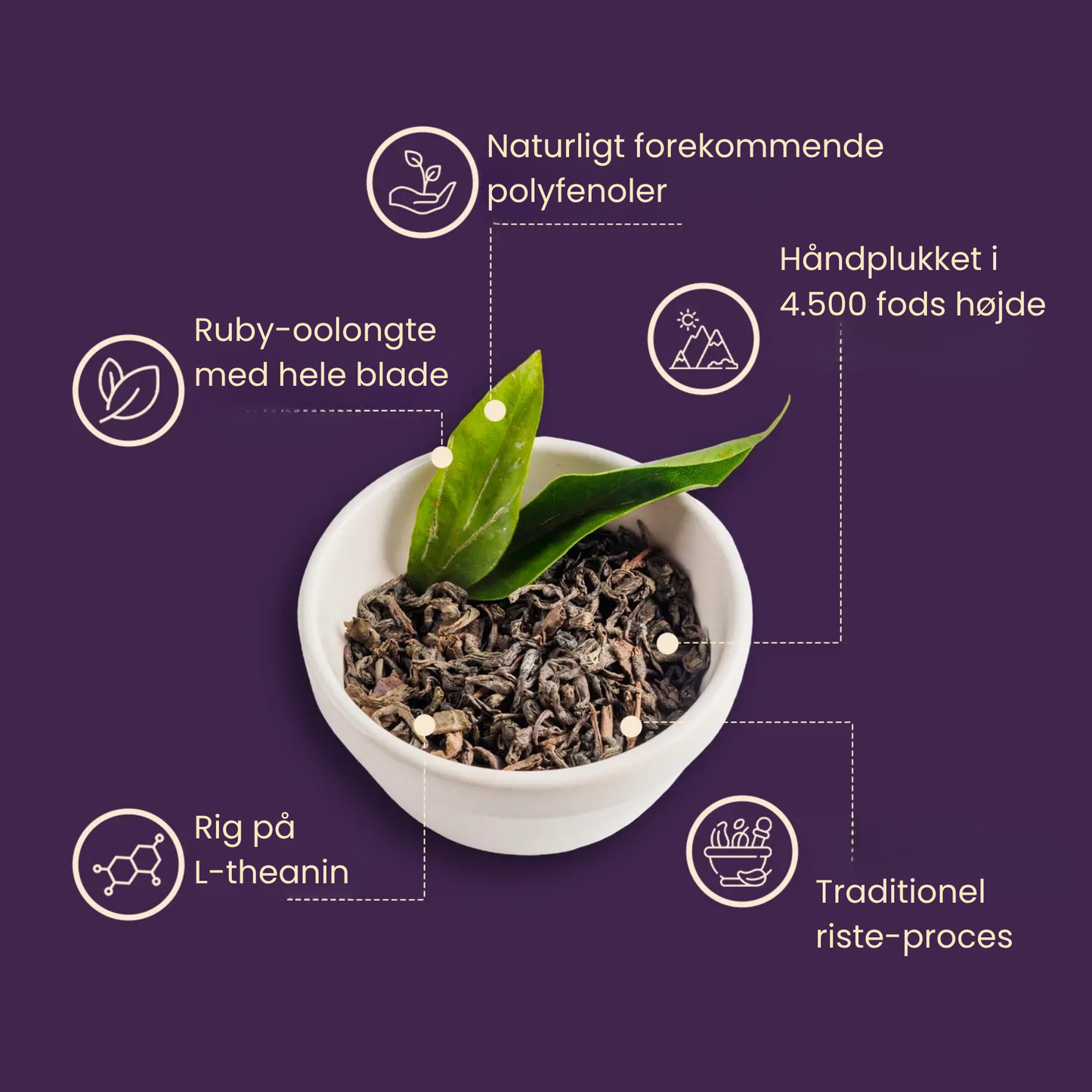 PiPi Tea —Sænk dit kolesteroltal naturligt ved at genoprette adiponectin
