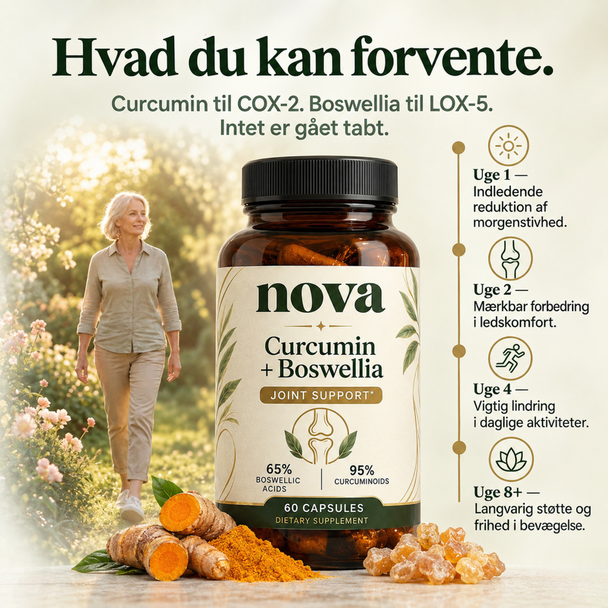 Curcumin + Boswellia – støtte til leddene