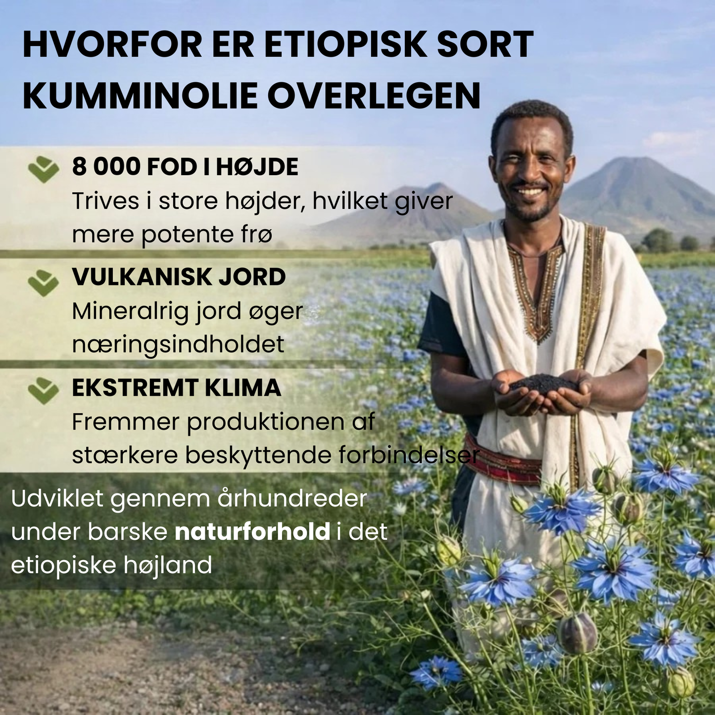 Docteat sortfrøolie | Sæt en stopper for betændelseskosmoset — genvind din naturlige energi og velvære i hele kroppen!