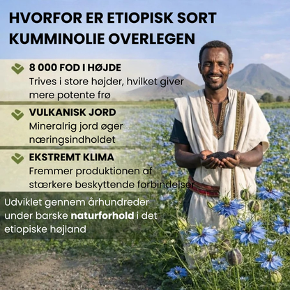 Docteat sortfrøolie | Sæt en stopper for betændelseskosmoset — genvind din naturlige energi og velvære i hele kroppen!